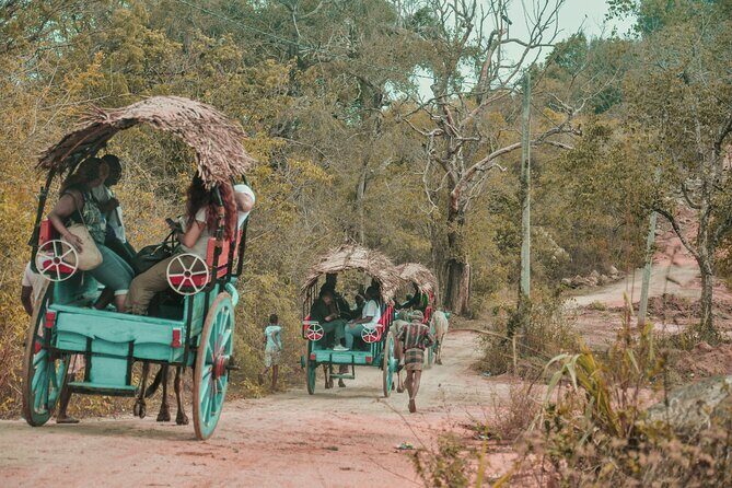 Sigiriya Village Tour and Lunch - FAQ