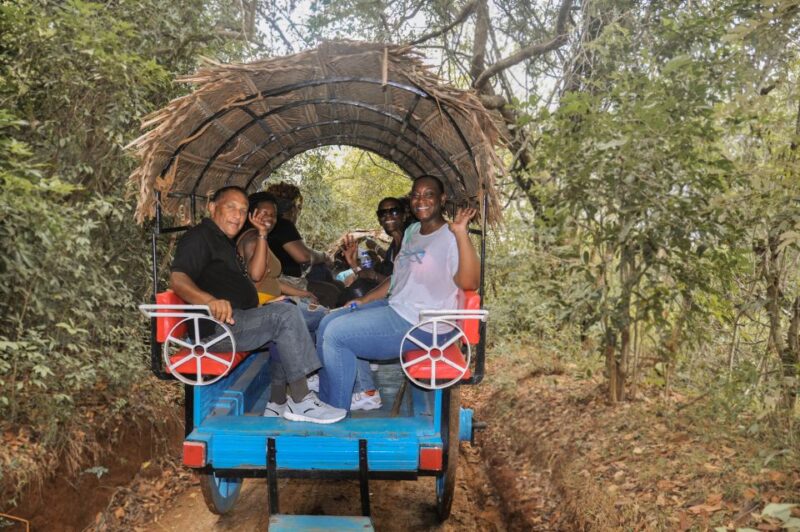 Sigiriya Village Tour and Lunch - Itinerary and Activities