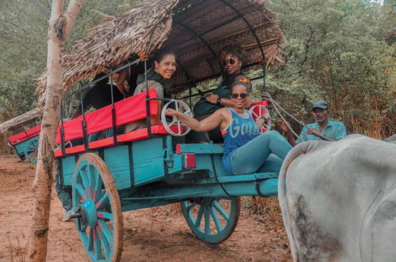 Sigiriya Village Tour and Lunch - Important Information