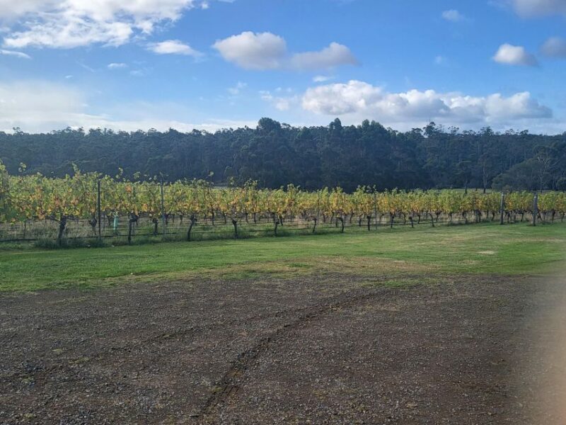 Signature Wine Tour - Hobart and SE Tasmania - Important Information