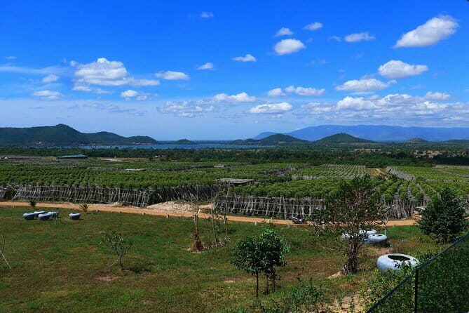 Sihanoukville Small-Group City Tour for Cruise Passengers - Final Thoughts