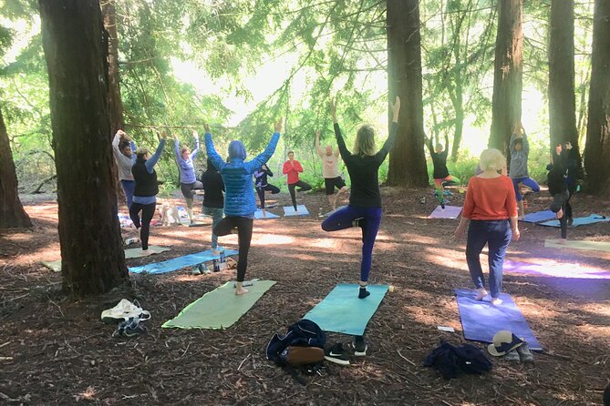 Silent Disco Style Yoga Class in Lake Merritt Pergola - Booking and Cancellation Policies
