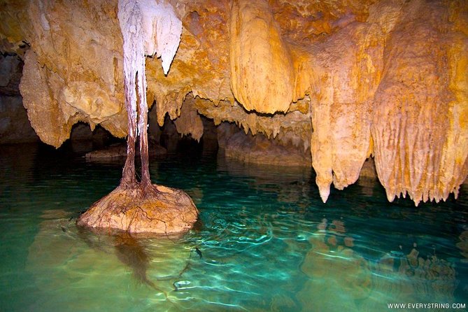 Silent Meditation in the Heart of the Cenote - Private Groups - Cenote Meditation Experience