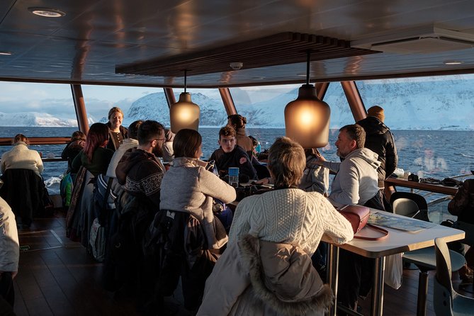 Silent Whale Watching - Onboard Amenities