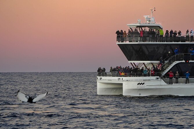 Silent Whale Watching - Pickup Details