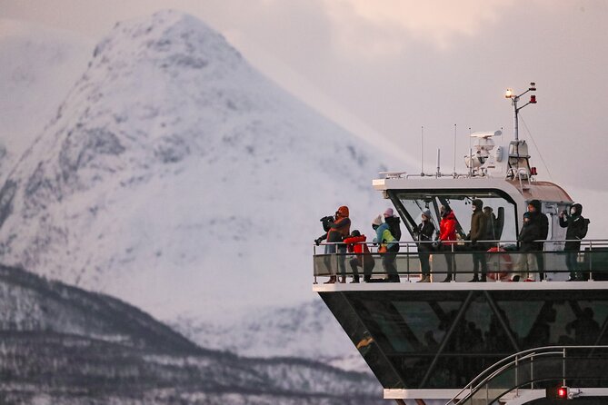 Silent Whale Watching - Weather Conditions