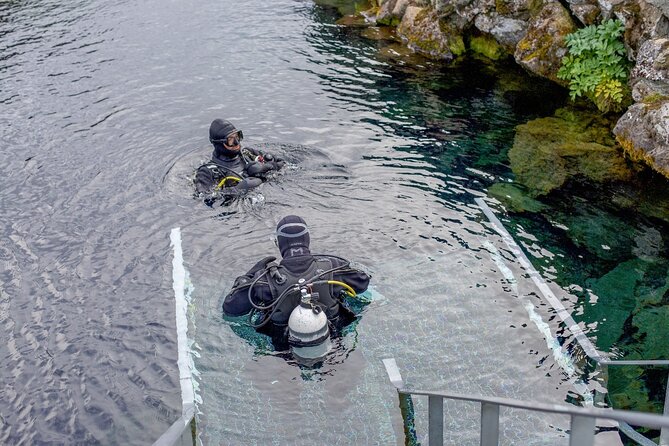 Silfra: Diving Between Tectonic Plates and Pick up From Reykjavik - Cancellation Policy