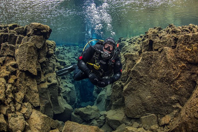 Silfra Fissure Freshwater Scuba Diving Tour From Reykjavik - Small-Group Diving Experience