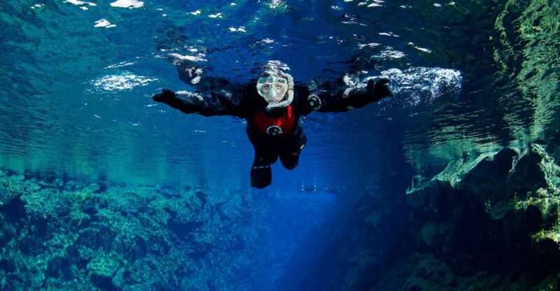 Silfra: Snorkeling Between Tectonic Plates, Meet on Location - Snorkeling Experience