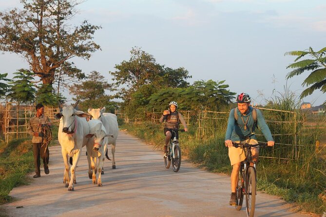 Silk Island at Twilight Cycle Encounter - Key Points