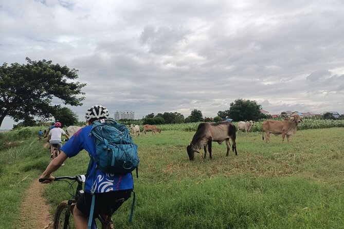 Silk Island at Twilight Cycle Encounter - Exploring Silk Island by Bike