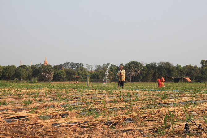 Silk Island & Countryside of Phnom Penh by Tuk Tuk - Itinerary and Activities