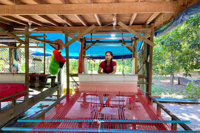 Silk Island Cruise and Tours With English Speaking Guide - Inclusions