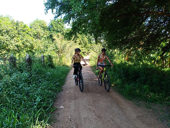 Silk Island Cycling Adventure & Lunch With Locals - Discovering Rice Paddy Farmlands
