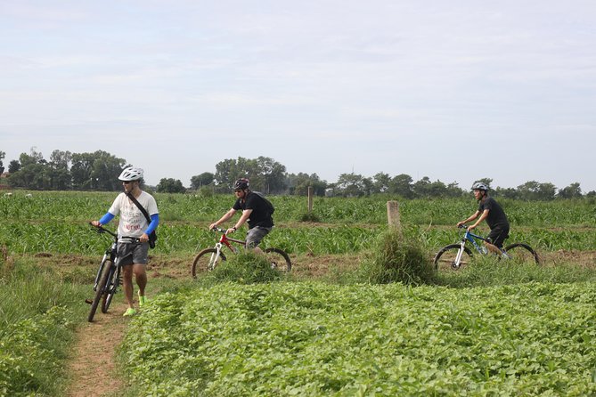 Silk Island Cycling Adventure & Lunch With Locals - Transportation and Group Size Details