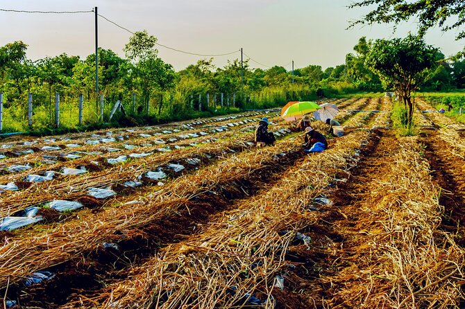 Silk Island Private Half-Day Tour From Phnom Penh - Exploring Silk Island