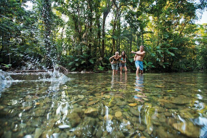 Silky Oaks to Cairns ONE WAY Private Transfer 6 pax - The Booking Process & Meeting Point