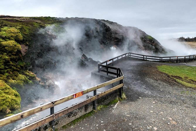 Silver Circle & West Iceland. Private Day Tour - Accessibility and Participation