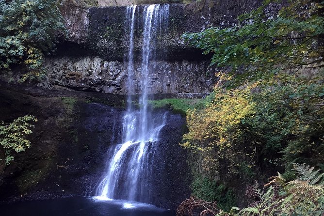 Silver Falls Hike - Health and Accessibility