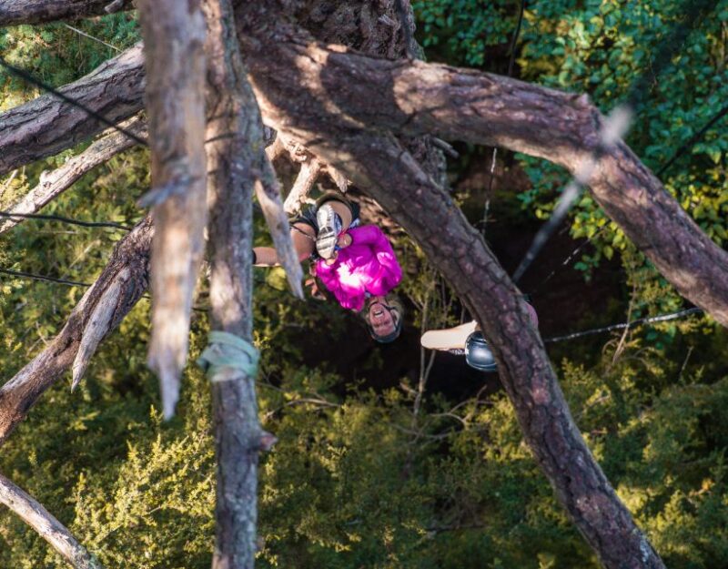 Silver Falls: Old-Growth Tree Climbing Adventure - Participant Requirements and Considerations