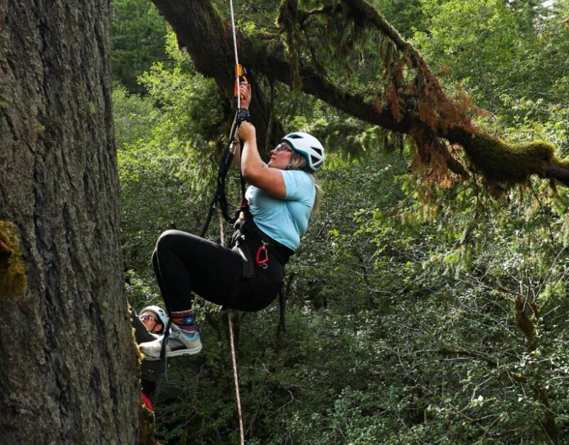 Silver Falls: Old-Growth Tree Climbing Adventure - Oregon State Park Passes