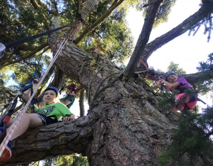Silver Falls: Old-Growth Tree Climbing Adventure - Cancellation Policy
