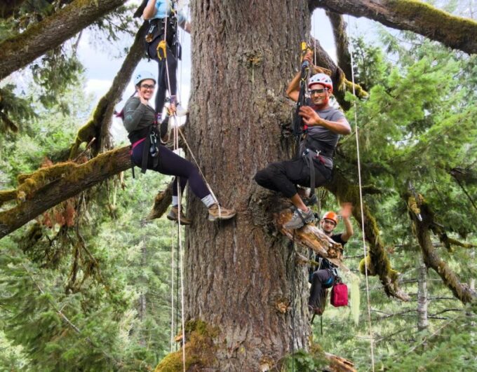 Silver Falls: Old-Growth Tree Climbing Adventure - Frequently Asked Questions