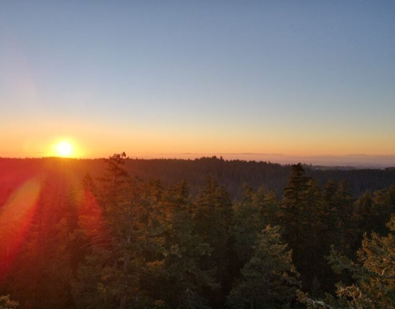 Silver Falls State Park: Tree Climbing Sunset Tour - Tour Details