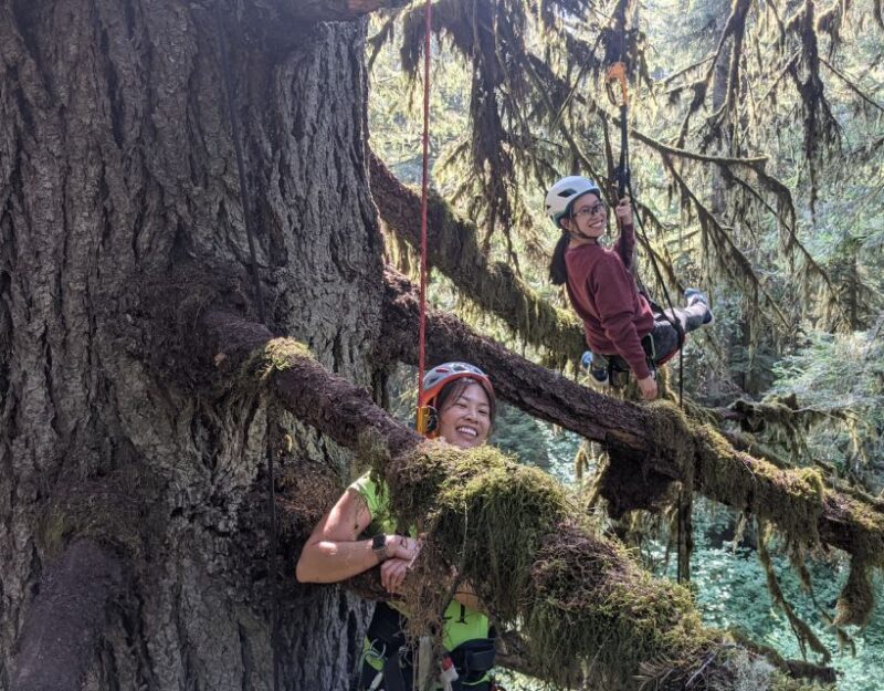 Silver Falls State Park: Tree Climbing Sunset Tour - Getting There