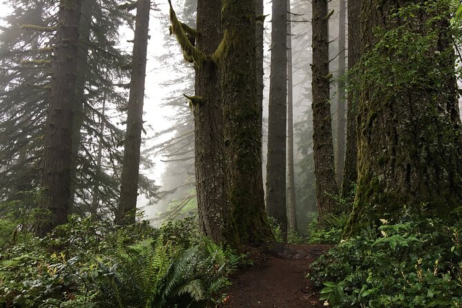 Silver Falls Waterfall Hiking Tour From Portland - Customer Experiences