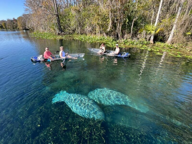Silver Springs: Clear Kayak Wildlife Tour - Introduction: What You Can Expect from the Silver Springs Wildlife Tour