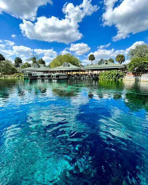 Silver Springs: Clear Kayak Wildlife Tour - Authentic Insights from Reviewers
