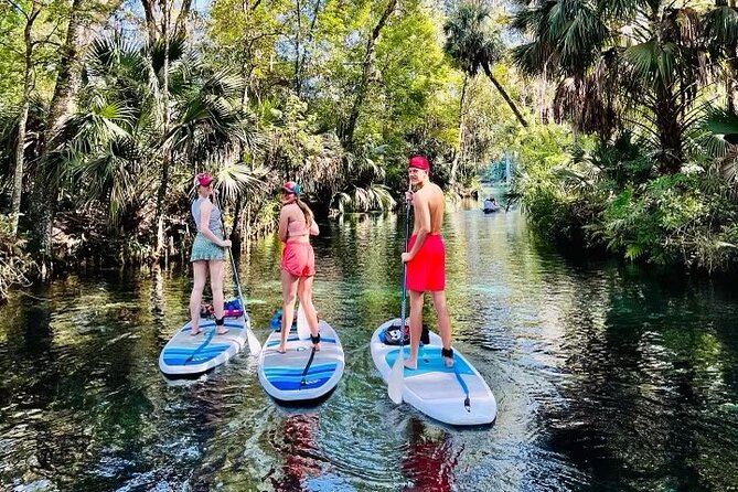 Silver Springs Kayak Rental - The Best Florida Adventure - Customer Feedback and Host Response