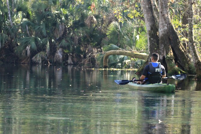 Silver Springs Manatee Kayak Tour - Positive Customer Feedback
