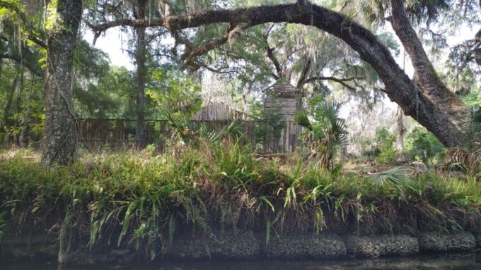 Silver Springs Manatee Kayaking Tour - Customer Feedback and Ratings