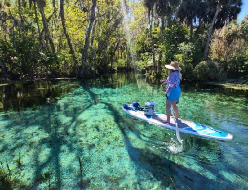 Silver Springs: Manatees and Monkeys Clear Kayak Guided Tour - Highlights and Features