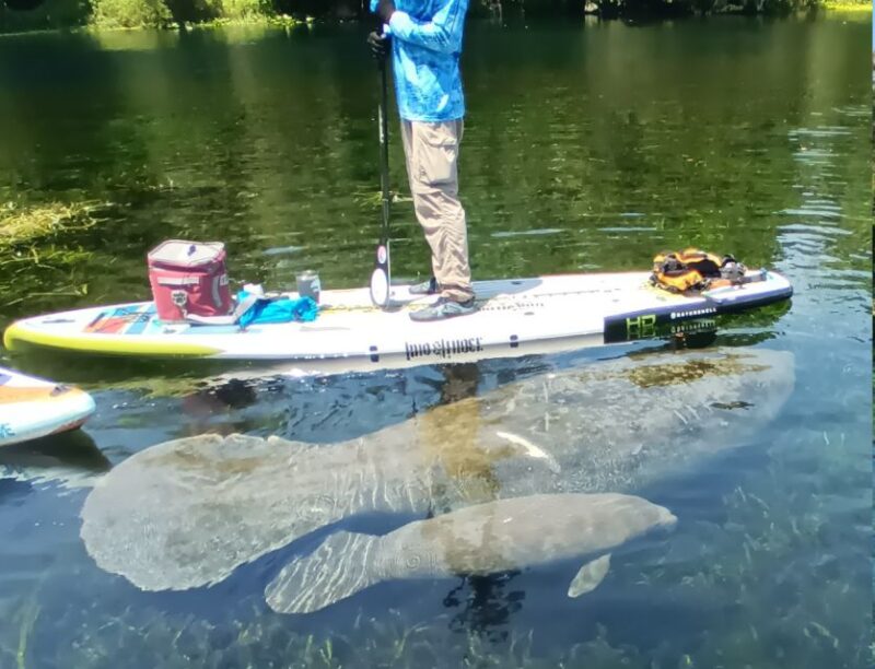Silver Springs: Manatees and Monkeys Clear Kayak Guided Tour - Vessel Options