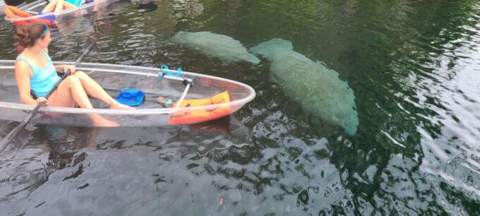 Silver Springs: Manatees and Monkeys Clear Kayak Guided Tour - Historical Context