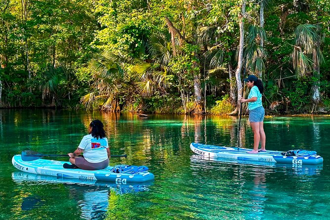 Silver Springs Paddle Board Adventure - Scenic Silver Springs Exploration