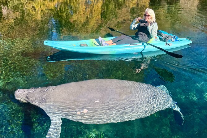 Silver Springs Premium Florida Manatee & Wildlife Experience - Pricing and Inclusions