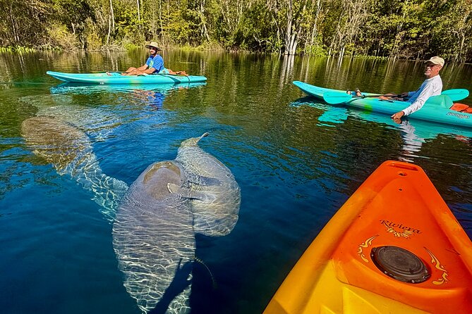 Silver Springs Premium Florida Manatee & Wildlife Experience - Meeting and End Points