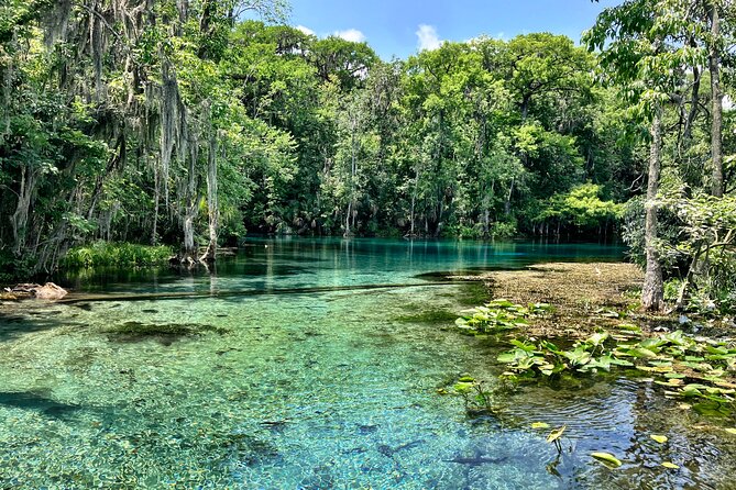 Silver Springs Premium Florida Manatee & Wildlife Experience - Accessibility and Participation