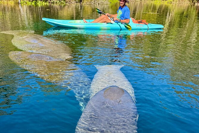 Silver Springs Premium Florida Manatee & Wildlife Experience - Negative Review