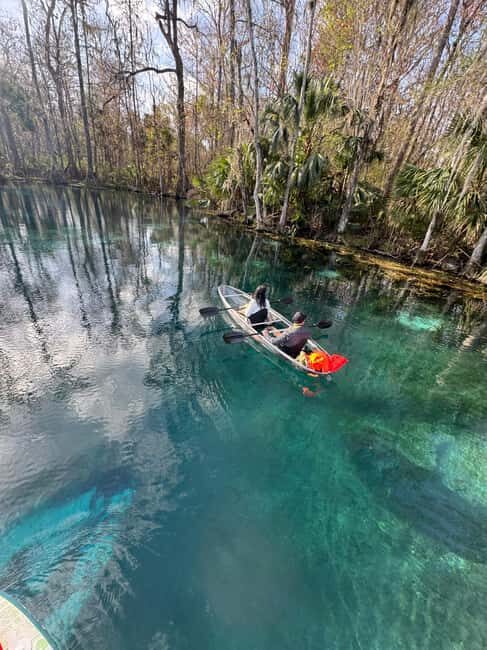 Silver Springs: Silver River Guided Kayak Tour - Practical Tips for Your Adventure