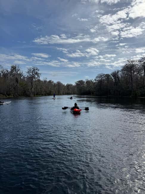Silver Springs: Silver River Guided Kayak Tour - Frequently Asked Questions