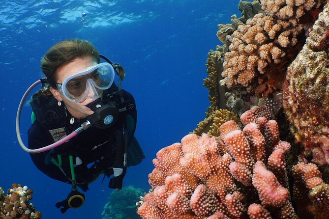 Silversonic Outer Great Barrier Reef Cruise From Port Douglas - Cruise Logistics and Schedule