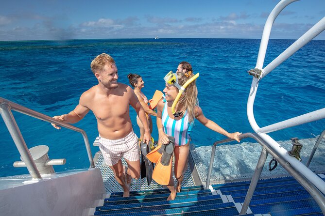 Silverswift Dive and Snorkel Great Barrier Reef Cruise - Snorkeling and Diving Activities
