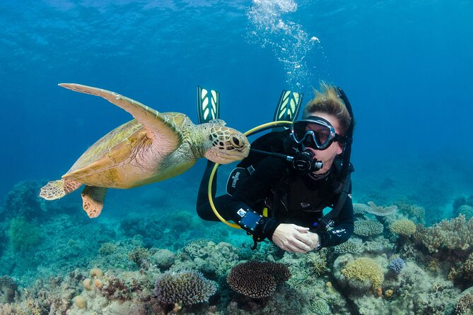 Silverswift Dive and Snorkel Great Barrier Reef Cruise - Flexible Reservation Policy