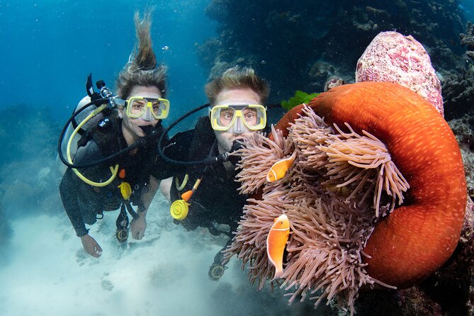 Silverswift Dive and Snorkel Great Barrier Reef Cruise - Reef Sites and Locations