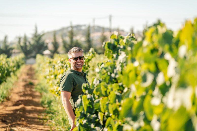 Silves: Algarve Vineyard Tour With Premium Wine Tasting - Key Points
